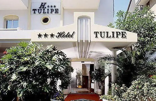 Hotel Tulipe Nazionale 리치오네